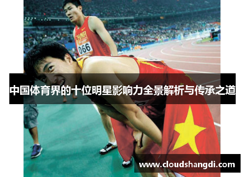 中国体育界的十位明星影响力全景解析与传承之道